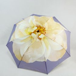 Ultra-Light 206g Aluminum Alloy Eight-Rib 70% off Fold Umbrella, Manual Windproof Umbrella, Quick-Drying Adult Umbrella