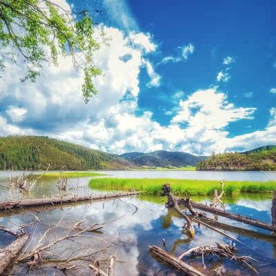 香格里拉二日游纯玩普达措松赞林寺丽江两日游云南旅游住五星酒店