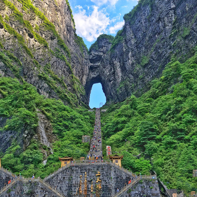 【8人小团】张家界1日游天门山森林公园大峡谷玻璃桥黄龙洞一日游