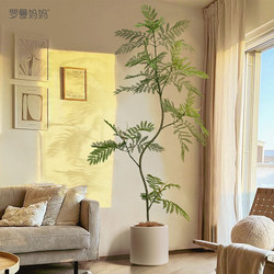 Jacaranda Artificial Green Plant Potted Plant, High-End Living Room Sofa Side Floor-Standing Ornament, Fake Tree Plant, Wabi-Sabi Style Bonsai