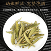 2024 Ming Qiantou Fuding Wilderness White Tea Special Grade Pekoe Silver Needle 500g New Year's Gift For Elders | No