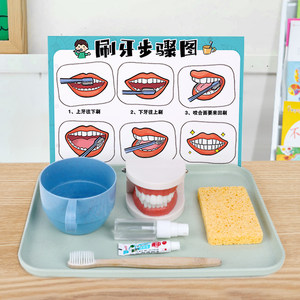 Children's brushing exercise toy toys tooth model teaching a props Montessori early education kindergarten small class living area materials