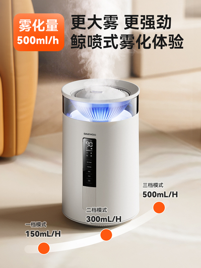 hot humidifier