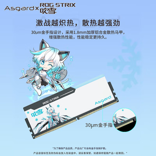 Asgard Fubuki DDR5 32GB (16GBx2) 6400MHz RGB Desktop Memory