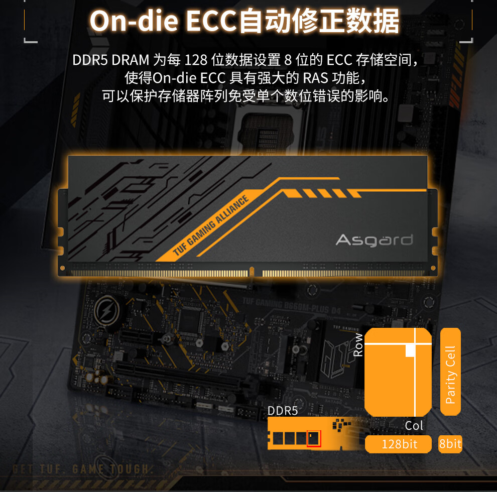 人気海外ブランドアイテム｜ファッション通販 アスガルド（Asgard）32GB（16GB×2）DDR5 6400 メモリー