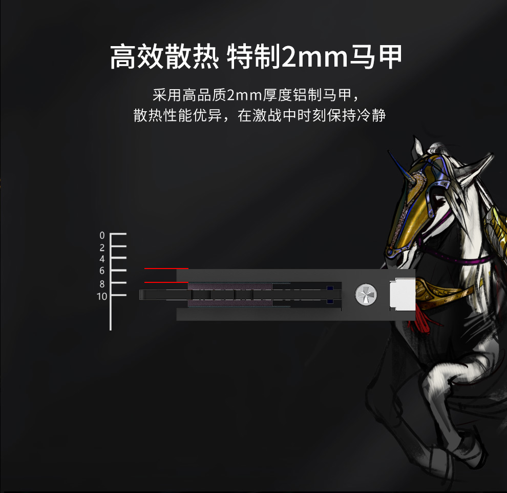 Asgard Valkyrie DDR5 32GB (16GBx2) 6800MHz Desktop Memory