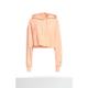Champion hooded sweater women's sweatshirt 10502661rr solid color long
