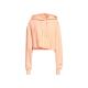 Champion hooded sweater women's sweatshirt 10502661rr solid color long
