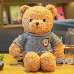Gift Box Teddy Bear Plush Toy Bear Doll Stuffed Animal Bear Gift for Girlfriend Graduation Birthday Gift
