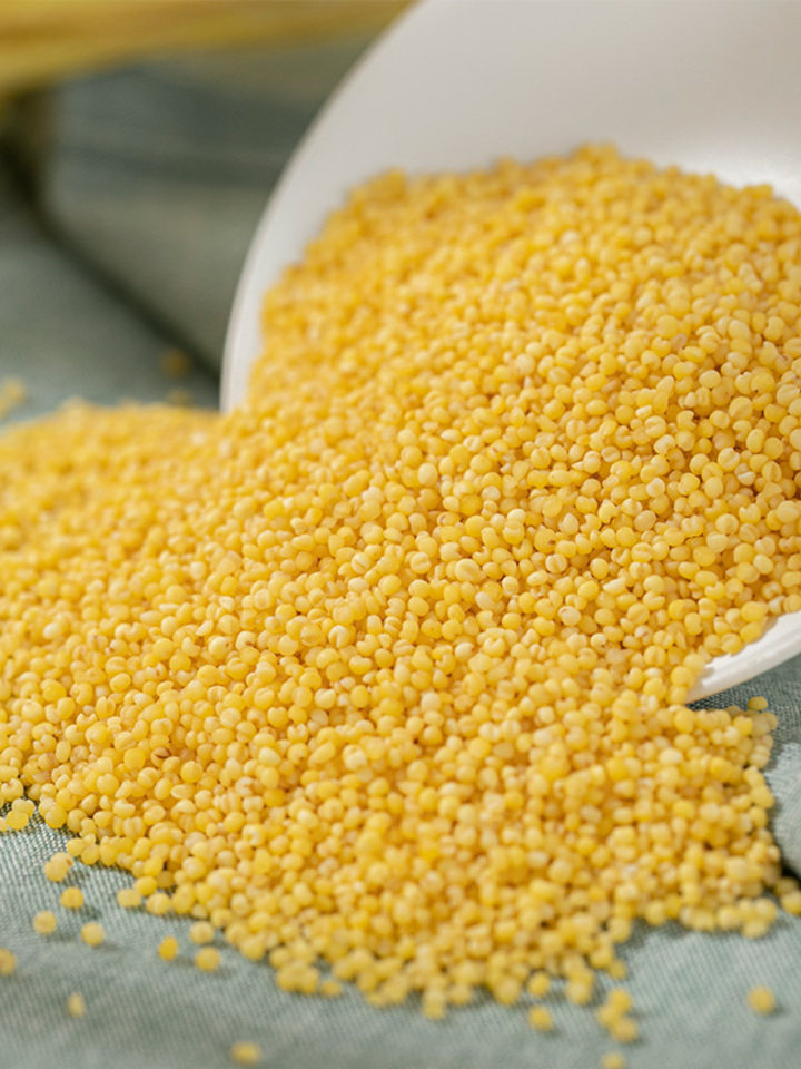 味思晋山西农家黄小米