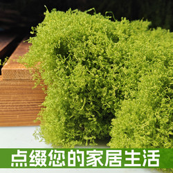 Simulated moss silk jungle fake moss bionic