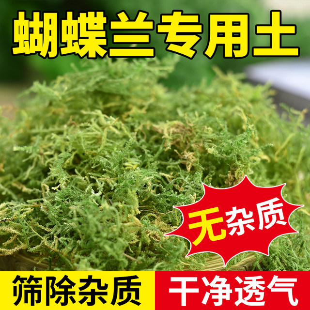 Dry moss, sphagnum moss, moss orchid, Phalaenopsis orchid, dendrobium planting special nutritional soil plant material turtle hibernation water table