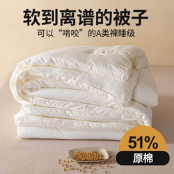 Soybean Quilt, Thickened Winter Quilt, Warm Quilt, Spring and Autumn Quilt, Student Dormitory Quilt, Winter Quilt, Pure Cotton Quilt Core, Suitable for All Seasons