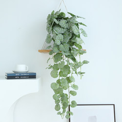 Taihuan ins Nordic Style Artificial Vine Plant Fake Potted Plant Landscaping Living Room Green Plant Ornament Window Display Store Decoration