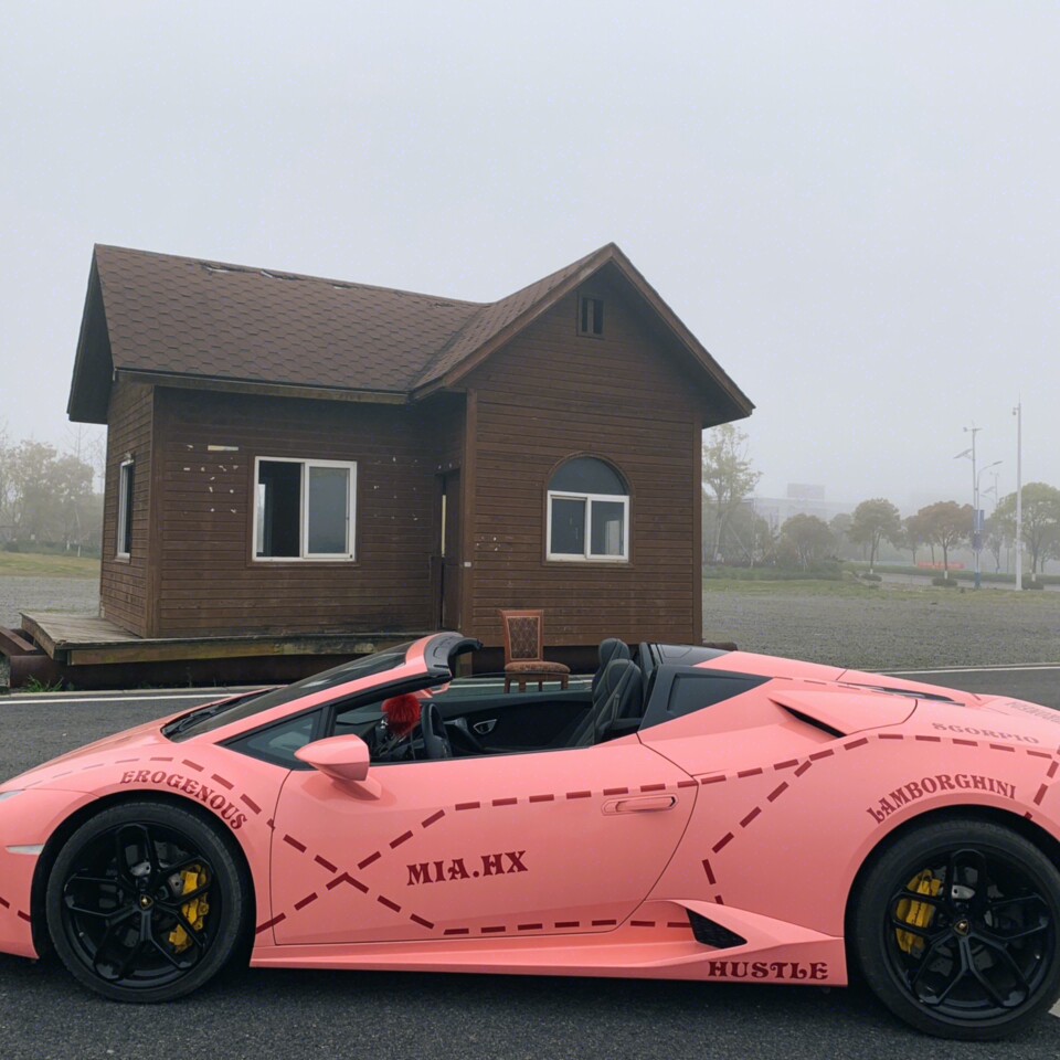 兰博基尼粉猪改色00炒鸡拉风