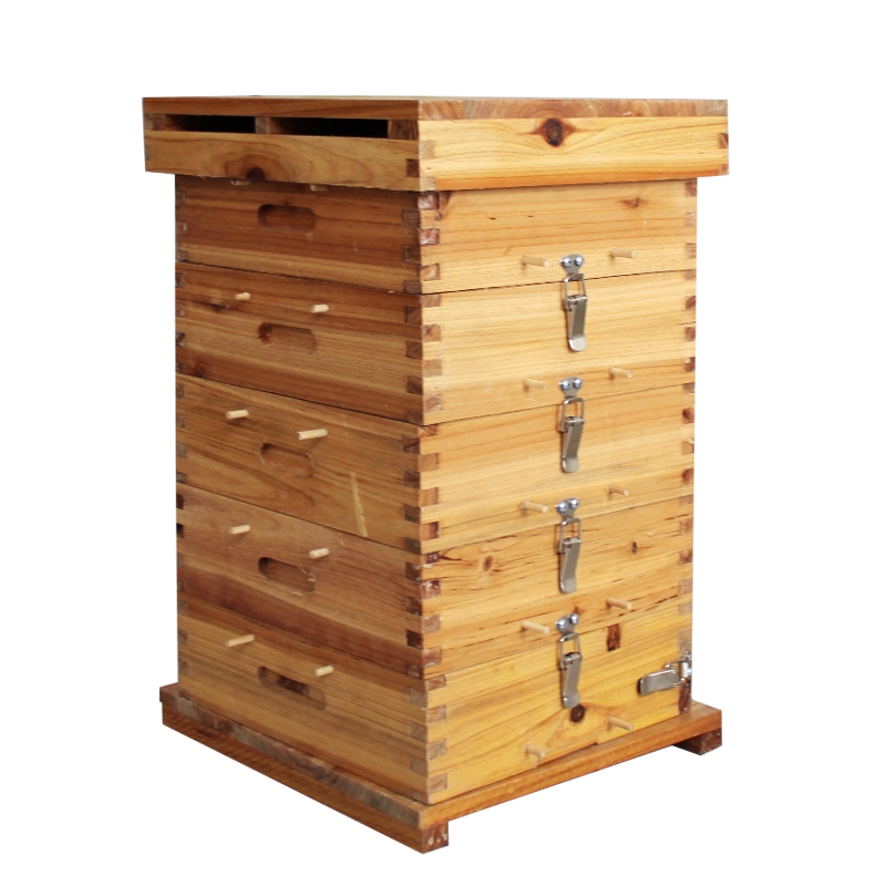 格子箱蜂箱中蜂土养峰箱全套加厚杉木蜂桶养蜂专用蜂具五层蜜蜂箱 