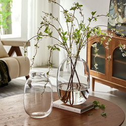 Large Glass Vase Ornament for Living Room, Suitable for Arranging Flowers, Specifically for Horse-Dranker Trees and Snow Willows, with a Light Luxury and High-End Feel, Transparent Green Plant Decoration