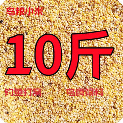 Bird Feed: Crushed Millet, Bird Food, Broken Rice, Bird Grain, Hulled Millet, Yellow Millet, for Feeding Sparrows, for Brewing, Feed for Chickens, Ducks, Geese, and for Distribution