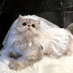 Cat Clothes, Pet Wedding Dress, Universal Princess Dress for Cats and Dogs, Photo Shoot Essential, Dog Birthday Tutu Dress