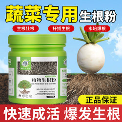 Rooting powder for fruit trees 500g