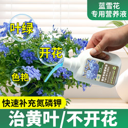 Blue Snow Fertilizer Special Nutrient Solution for Potted Plants to Bloom and Promote Flowering Fertilizer to Treat Yellow Leaves Blue Snow Special Nutrient Solution