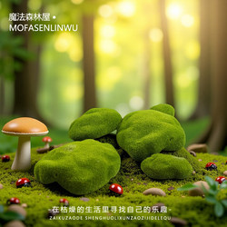 Micro-Landscape Moss Flocking Fake Stone Lawn Landscaping Decoration Props Succulent Home Decoration Materials Accessories Decoration