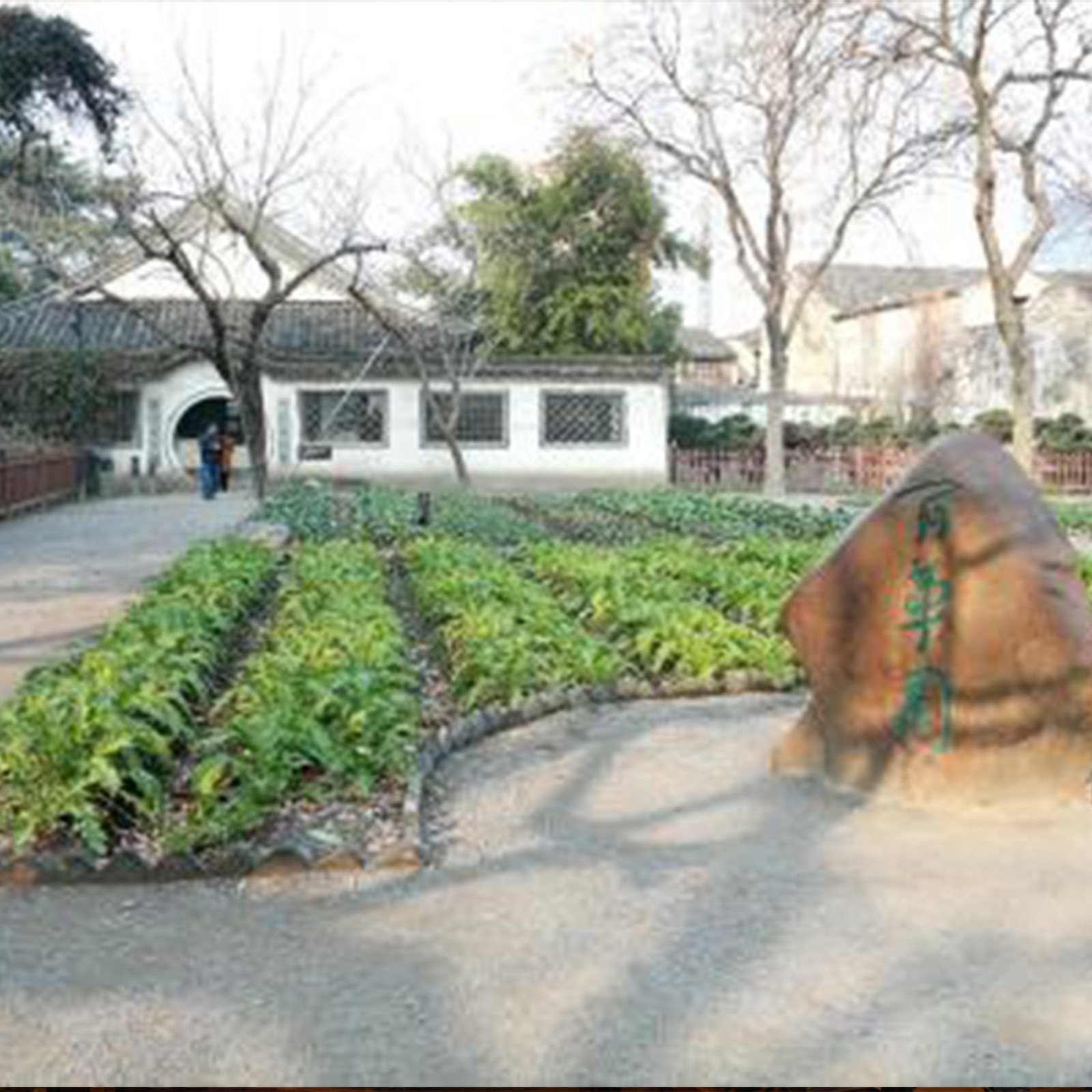 绍兴鲁迅故里+三味书屋+百草园【大咖精讲2小时 送无线讲解耳麦】