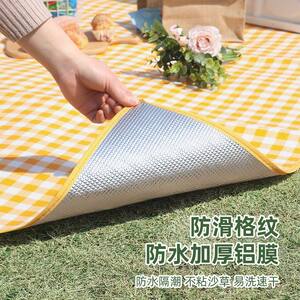 
Picnic mat Outdoor hiking and leisure Park cushion Thickened portable outdoor picnic mat Camping tent moisture-proof mat