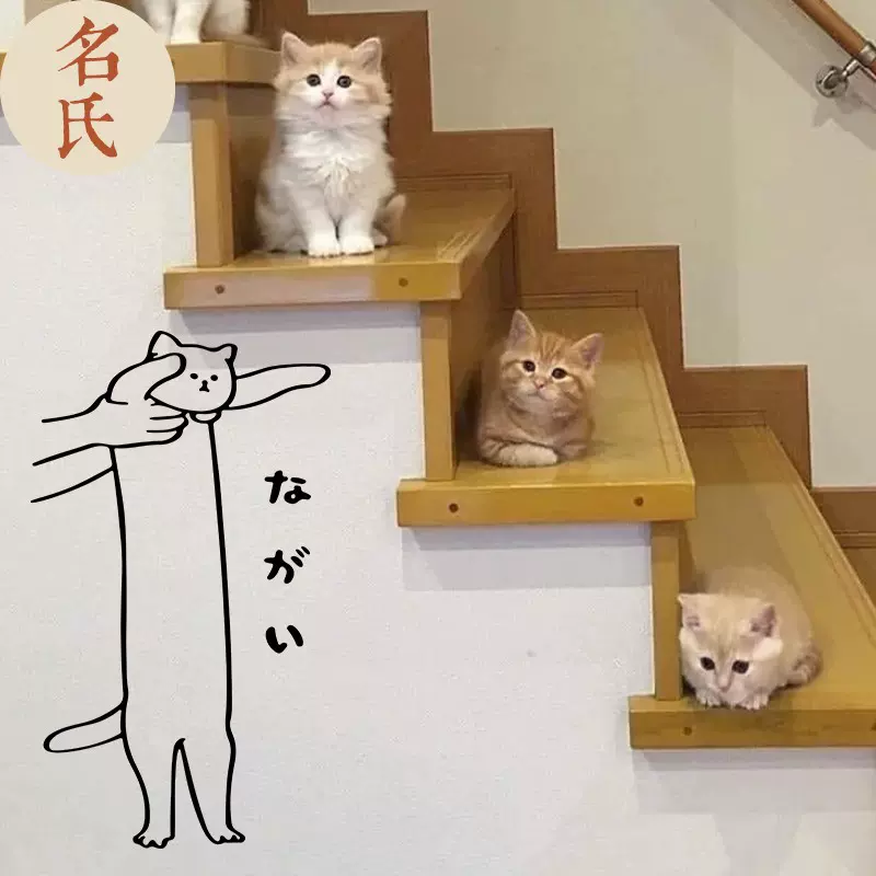 網紅可愛被抱起貓咪壁紙玻璃門貼卡通設計貓咖擼