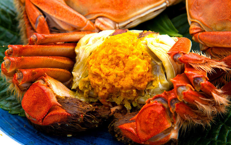 选好大闸蟹，打造别样美味(图4)