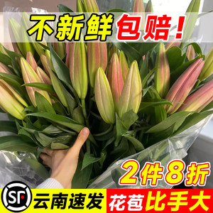 
SF Next Day Delivery Perfume Lily Flowers Double-petaled Yunnan Base Straight-haired Hydroponic Flowers for Flower Arrangement Fresh Cut Flowers