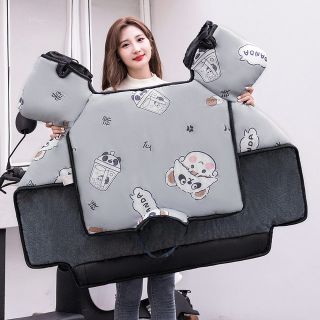 Amazon.com: Ebike Windshield