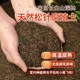Pine needle humus soil natural corruption and rotten pure gentleman orchid multi -meat peat nutritional soil special soil