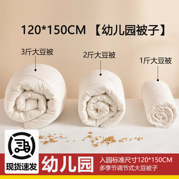 Kindergarten Class A soybean quilt children's quilt cotton quilt 120*150cm entry quilt core spring and autumn model universal for all seasons