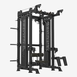 Lu Xiaojun Luxiaojun Home and Commercial Multifunctional Comprehensive Training Device Bird Fly Bench Press Squat Rack