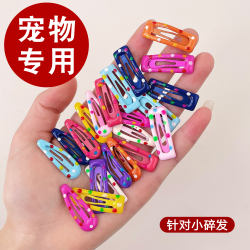 Yorkshire Terrier Dog Hair Clip Accessory Pet Bb Hair Clip Maltese Bangs Clip Puppy Hairpin Hair Accessory