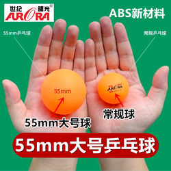 Century Dawn Large 55mm Table Tennis DIY Handmade Abs New Material Pet Toy Beginner Training Slow Speed Ball