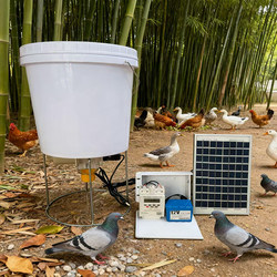 Automatic Feeder for Chickens, Ducks, Geese, Pigeons, Fish, Shrimp, and Dogs; Timed Feeder; Solar-Powered Remote Chicken Feeding Device
