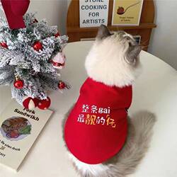 Cat and Dog Clothes for Autumn and Winter, Warm and Anti-Shedding, Suitable for Ragdoll Blue Cats, Cute Pet Kittens, Small and Medium-Sized Dogs