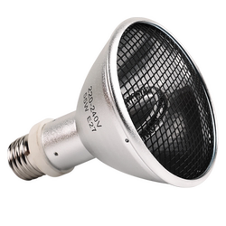 [Official Recommendation]: Carbon fiber heating lamp for climbing pets