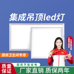 Integrated Ceiling Led Light Embedded in Kitchen, Bathroom, and Restroom Ceiling Panel Light, Aluminum Ceiling Light for Kitchen and Bathroom