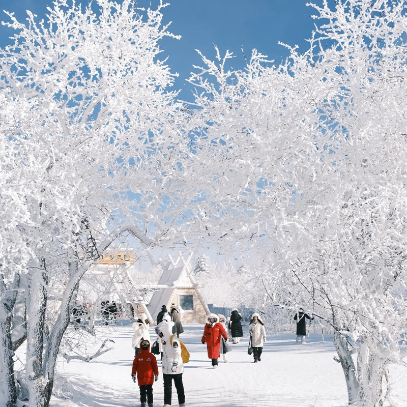 【可选14人小团】延边发-长白山雪岭/老里克湖纯玩一日游