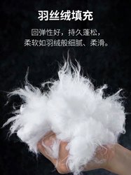 Feather Velvet High-Elastic Cotton Pillow Core