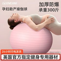 Yoga Ball, Fitness Ball, Thickened and Explosion-Proof, Special for Pregnant Women, Midwifery, Weight Loss, Large Dragon Ball, Kidsren's Sensory Training Balance Ball
