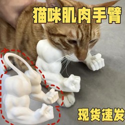 Cat Hulk Muscle Arms Small Toy Cat's Hulk Arms Dog Neck Pendant Funny Boxing Model