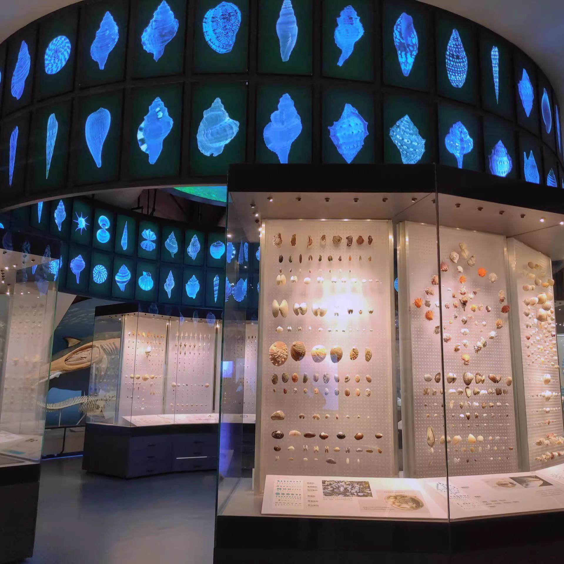 天津泰达航母主题公园+国家海洋博物馆2-8人纯玩一日游