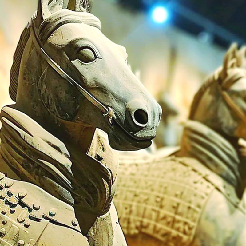 西安秦始皇帝陵博物院(兵马俑)一日游上门接+多套餐可选+导游讲解