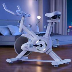 Dynamic Exercise Bike for Home Use, Indoor Sports, Silent Fitness Equipment, Gym-Specific Smart Power Bike