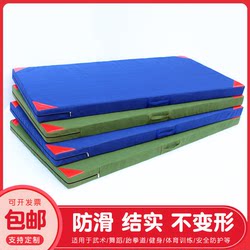 Martial Arts Mat, Sports Training Mat for Middle School Entrance Exam, Kindergarten Sponge Protective Mat, Dance Practice Mat, Acrobatics Gymnastics Mat
