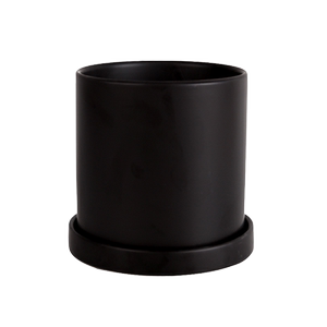 Indoor light luxury home cute creative succulent green planting potted Phalaenopsis ceramic flower pot nutrition soil zone tray
